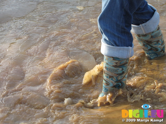 SX11255 Jenni in boots walking through icy puddle